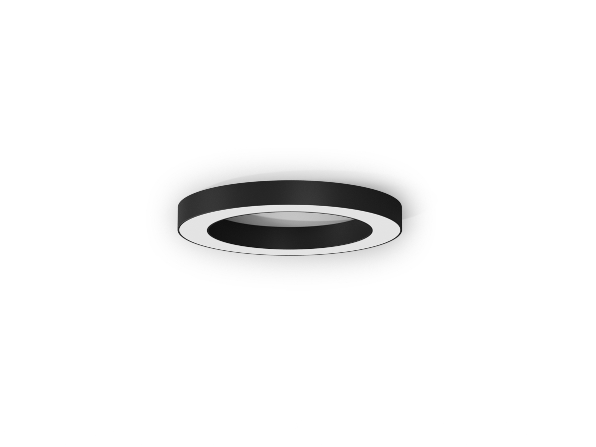 SILVER RING - P08202.080.0402
