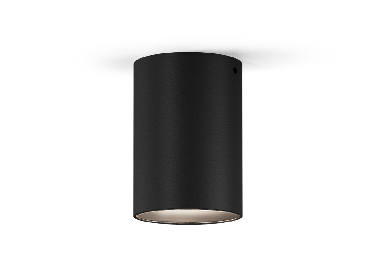 CARL - X12202.008.2501